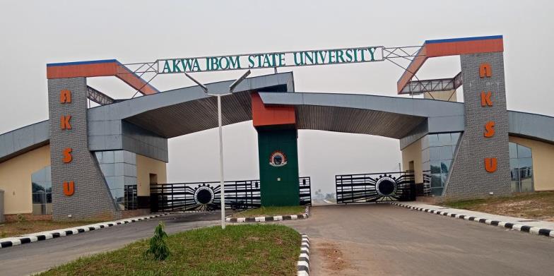Akwa Ibom University Staff Protest Salary Delays, Demand Minimum Wage Arrears