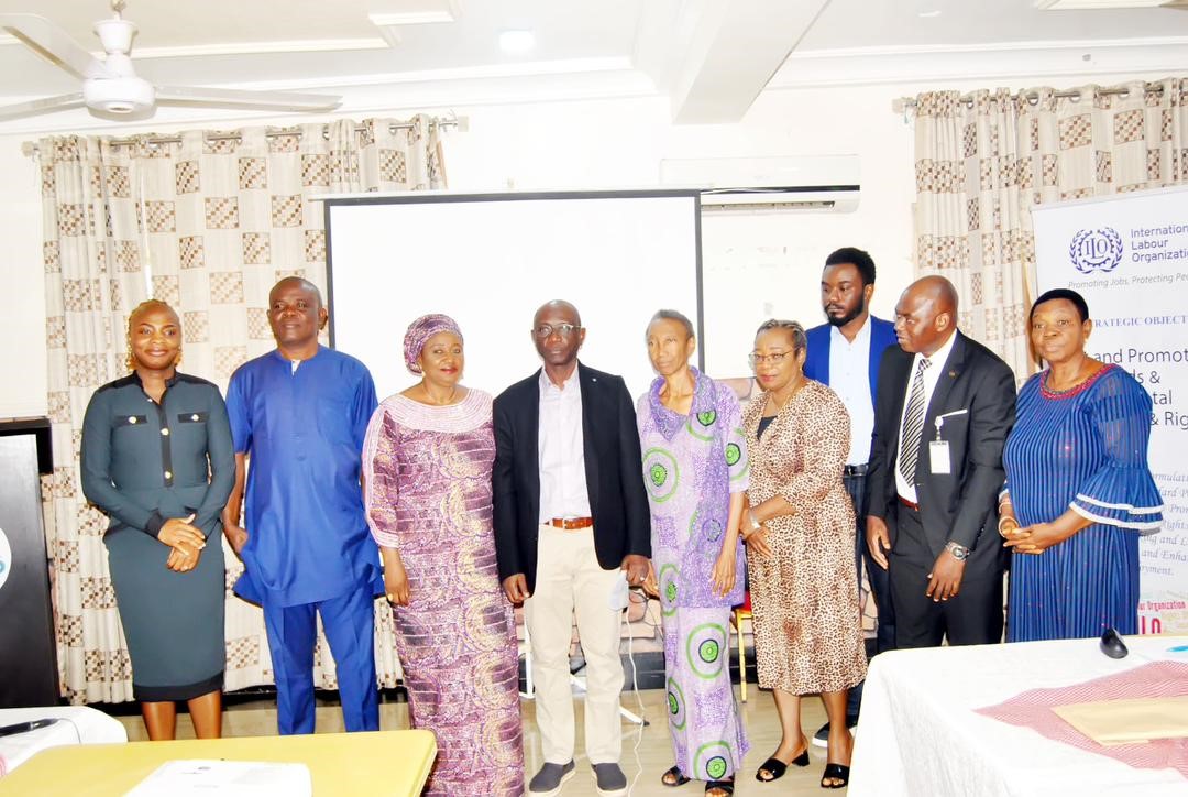 FG Partners Labour Groups, Employers on Strengthening ILO Reporting