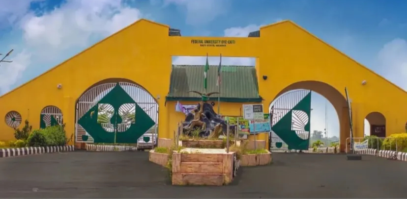 FUOYE Lecturers Down Tools Over Unpaid Salaries