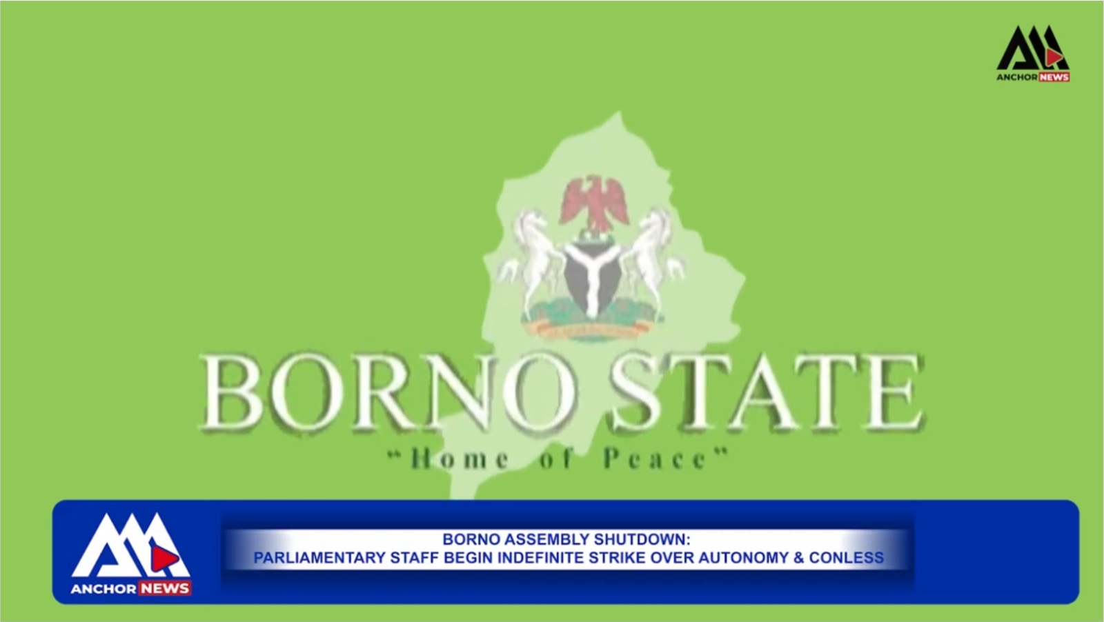 Why Borno Assembly Was Shut Down: PASAN Indefinite Strike Explained