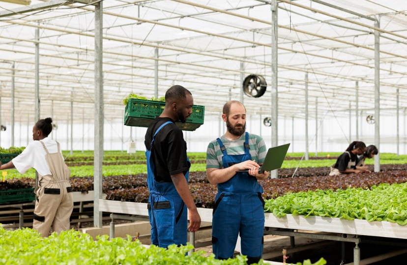 New Global Framework Aims to Make Aquaculture Safer for Millions of Workers