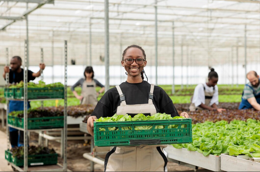 BATN Foundation Awards ₦25.5 Million to 17 Graduate Agripreneurs to Drive Job Creation