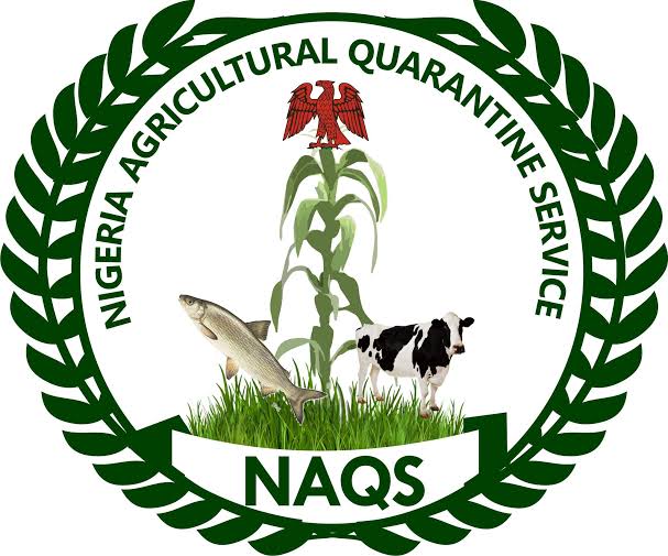 NAQS Delays Recruitment Shortlist After 407,659 Applications, Cites Need for Transparent Screening